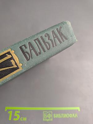 Человеческая комедия. Этюды о нравах. Сцены сельской жизни. Сельский врач. Сельский священник. Собрание сочинений в 24 томах. Том 17