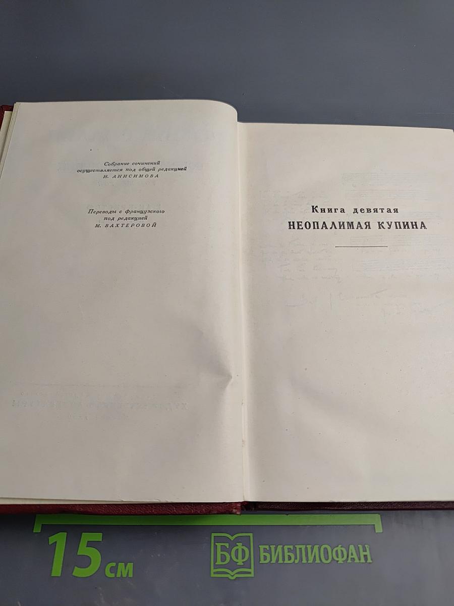 Собрание сочинений. Том шестой. Жан-Кристоф. Книги девятая и десятая