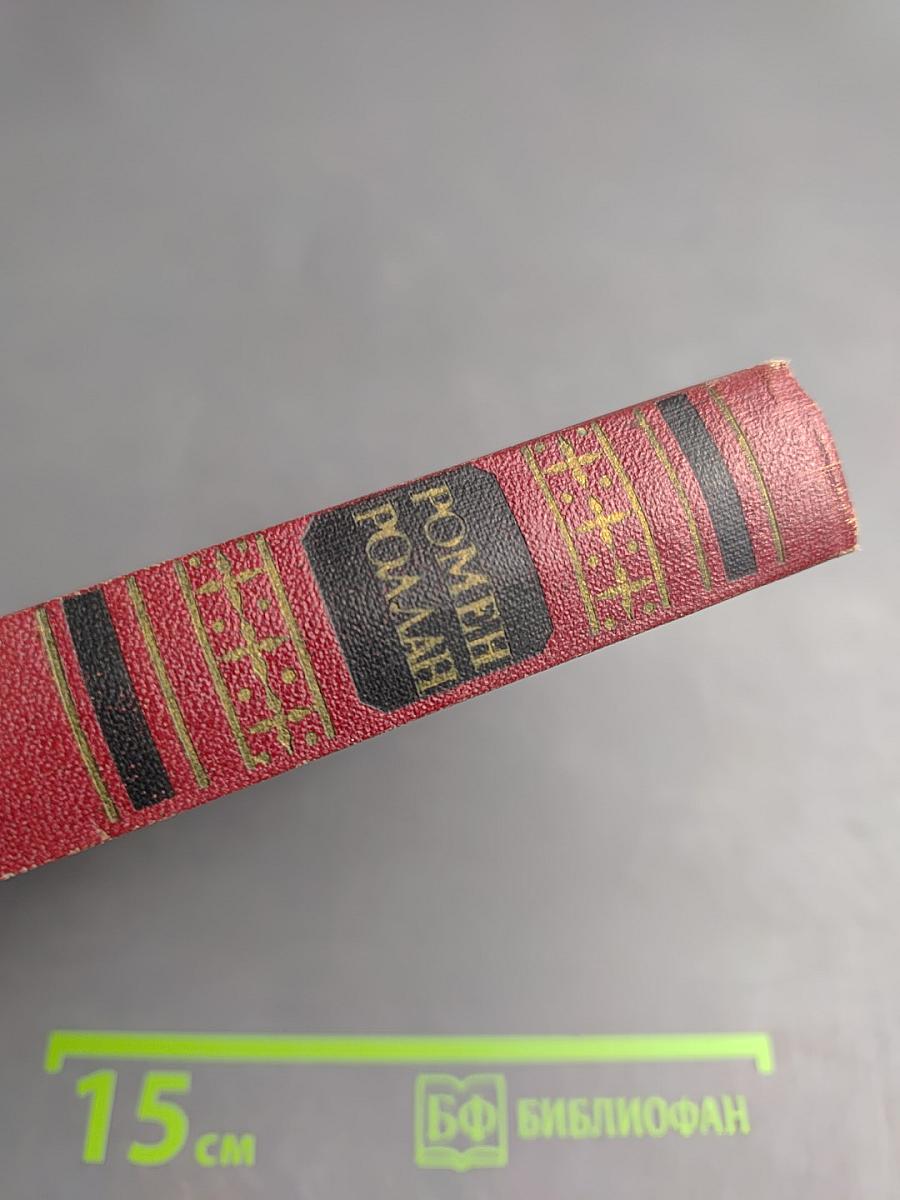 Собрание сочинений. Том шестой. Жан-Кристоф. Книги девятая и десятая