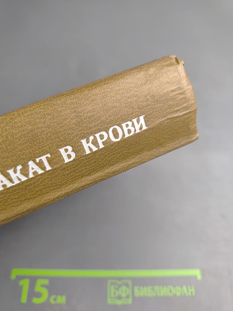 Закат в крови