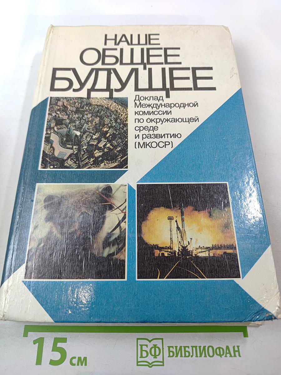 Наше общее будущее