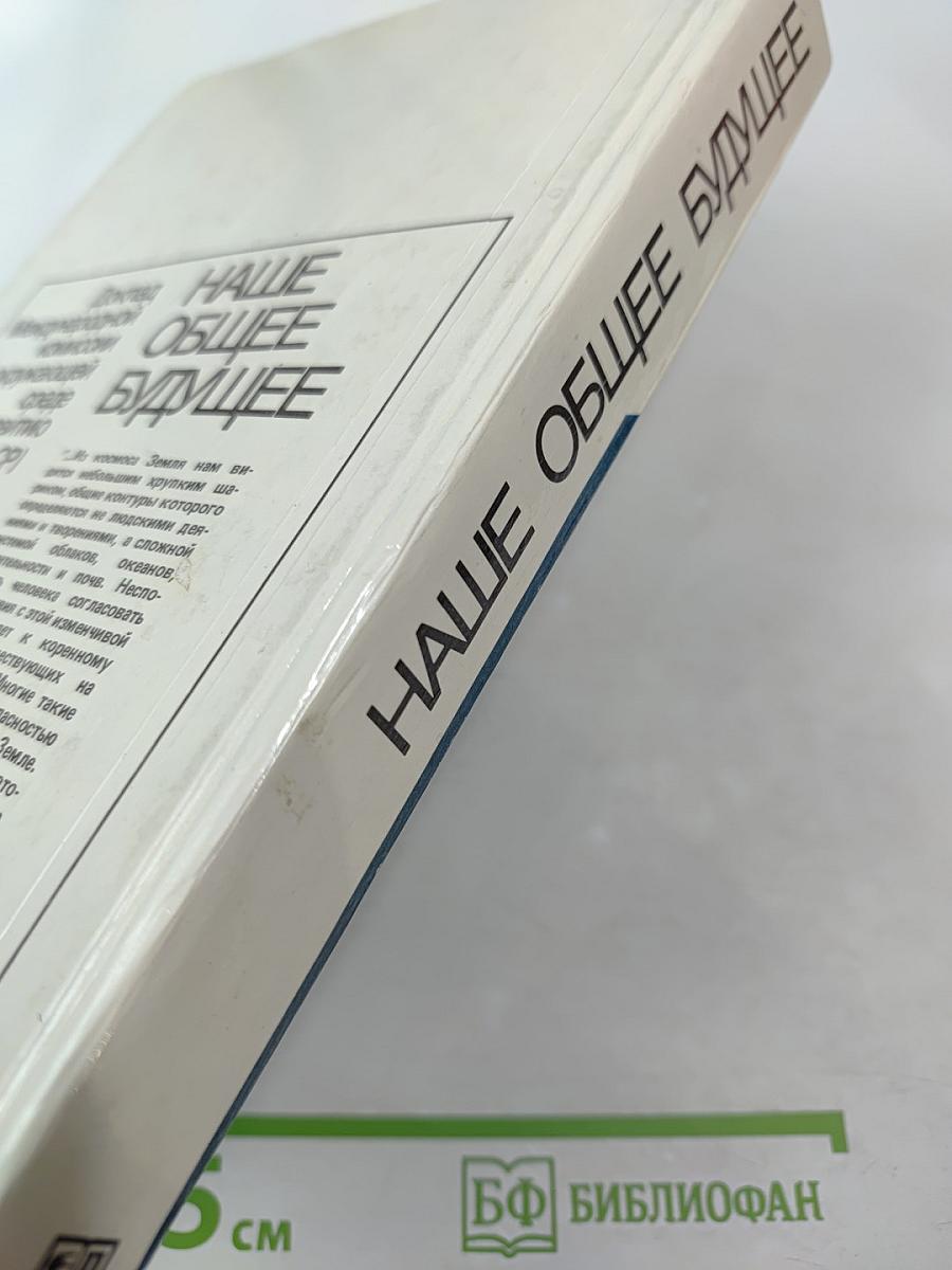 Наше общее будущее