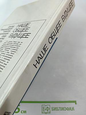 Наше общее будущее