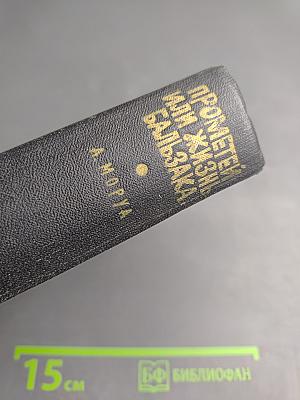 Прометей или Жизнь Бальзака