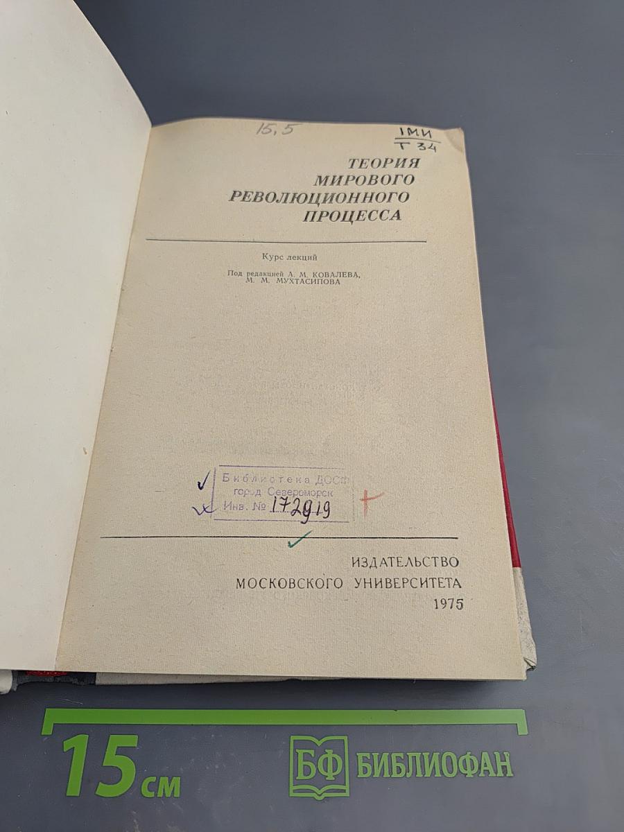 Теория мирового революционного процесса