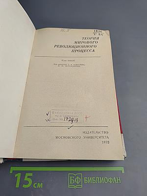 Теория мирового революционного процесса