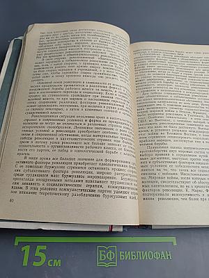 Теория мирового революционного процесса