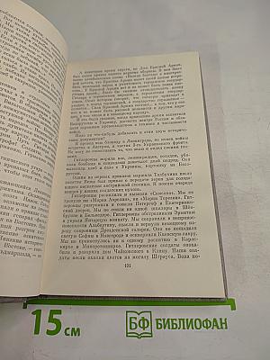 Дневник и память