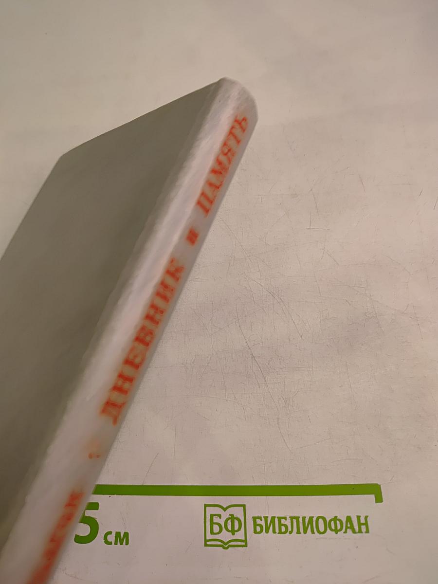 Дневник и память