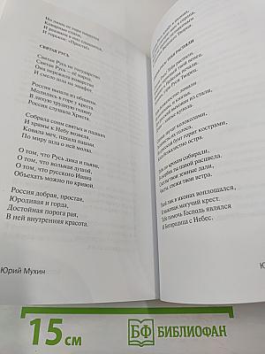 Поэт года 2013. Книга двадцать седьмая