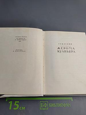 Суждения господина Жерома Куаньяра