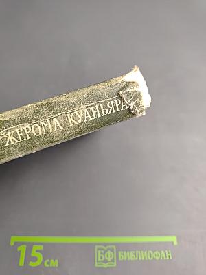 Суждения господина Жерома Куаньяра