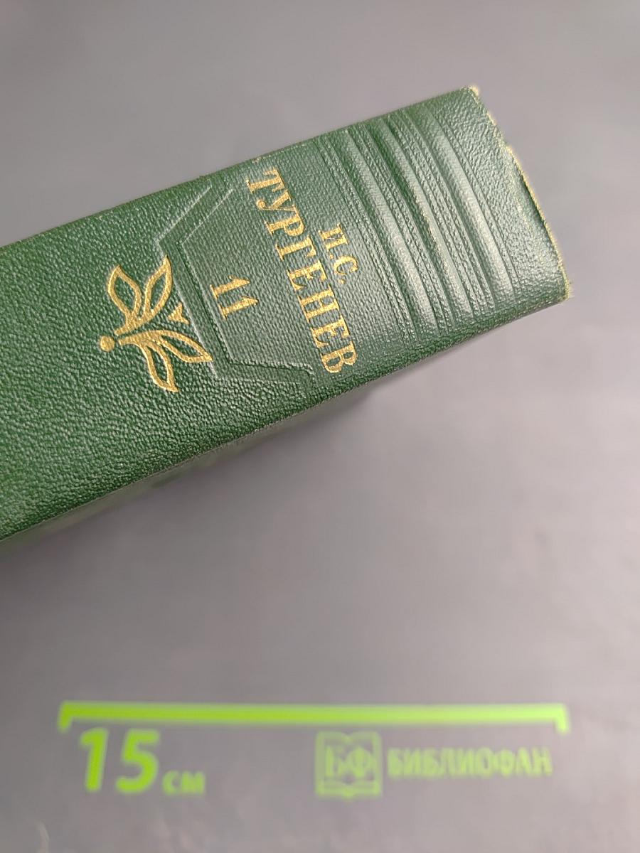 Собрание сочинений. Том одиннадцатый: Литературно-критические статьи и речи. Биографические очерки и заметки