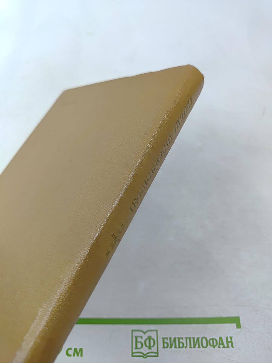 Пушкинский лицей: очерк-путеводитель