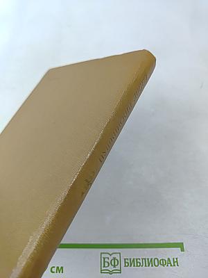 Пушкинский лицей: очерк-путеводитель