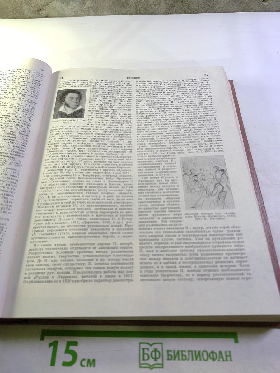 Краткая литературная энциклопедия. Том 6