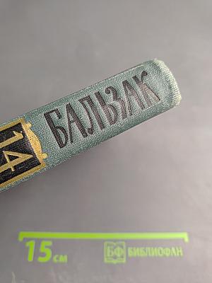 Собрание сочинений в 15 томах. Том 14: Кузен Понс