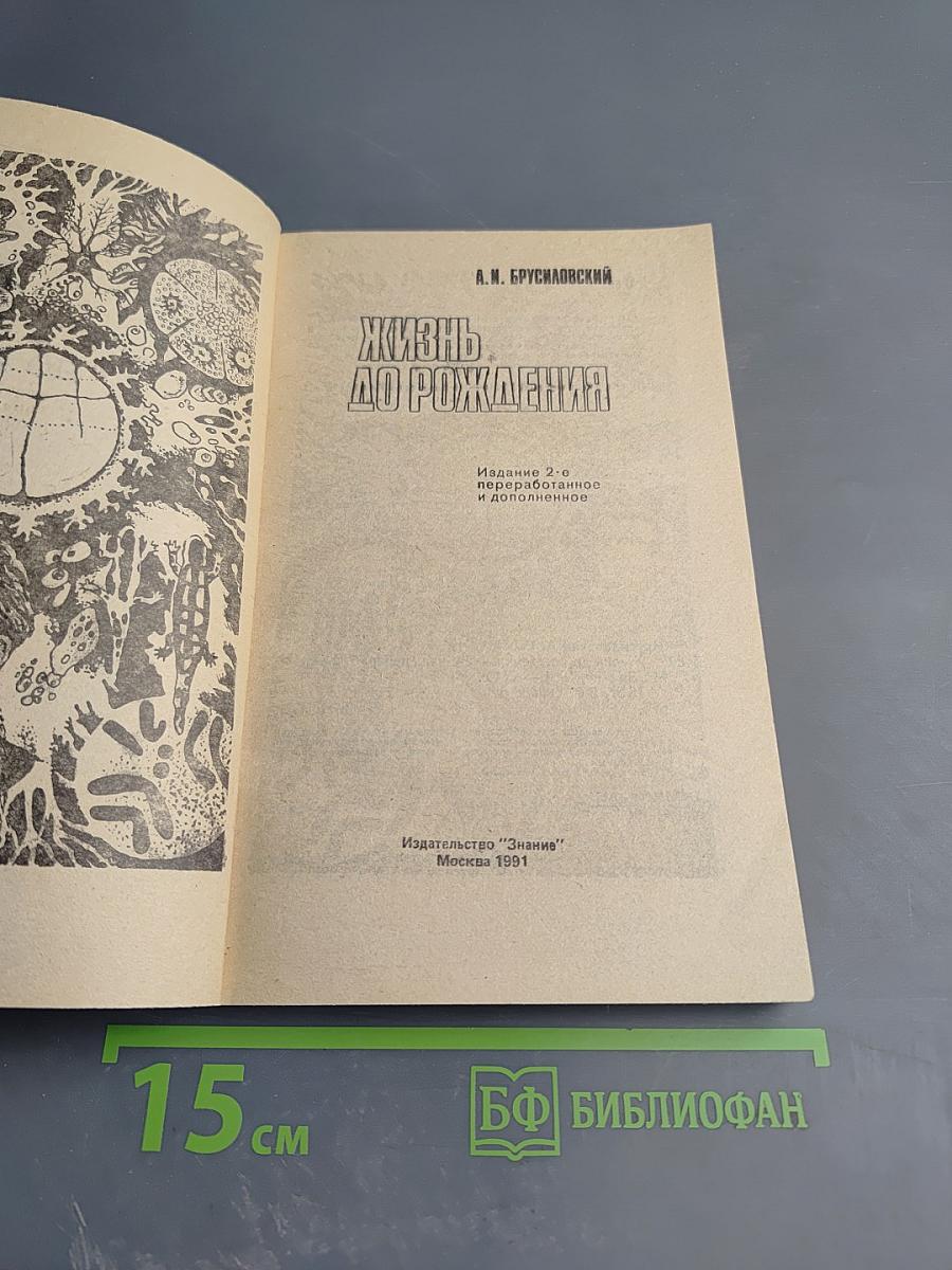 Жизнь до рождения