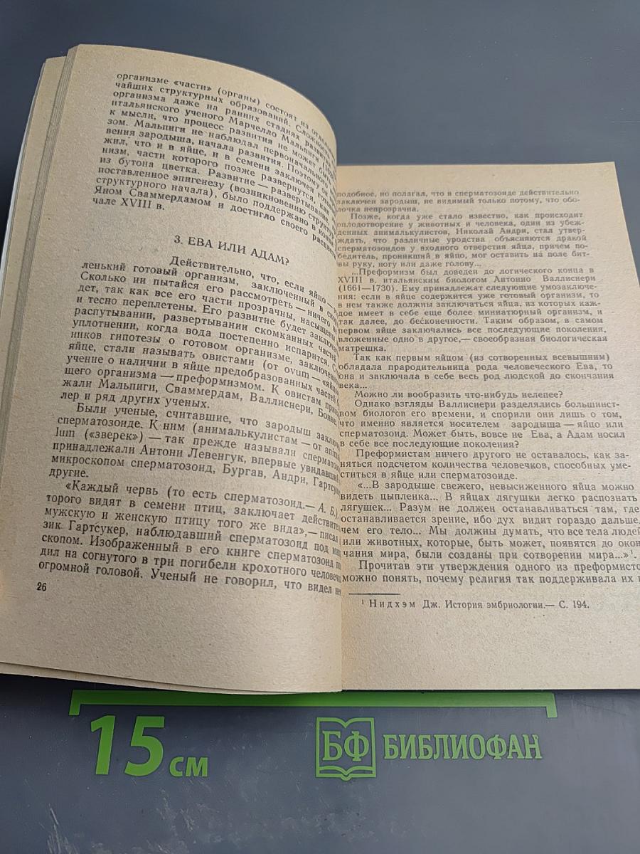 Жизнь до рождения