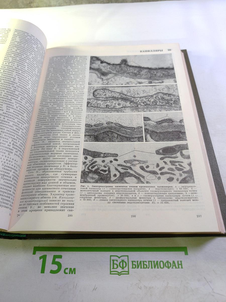 Большая медицинская энциклопедия. Том 10. Кабаков — Коллесценция