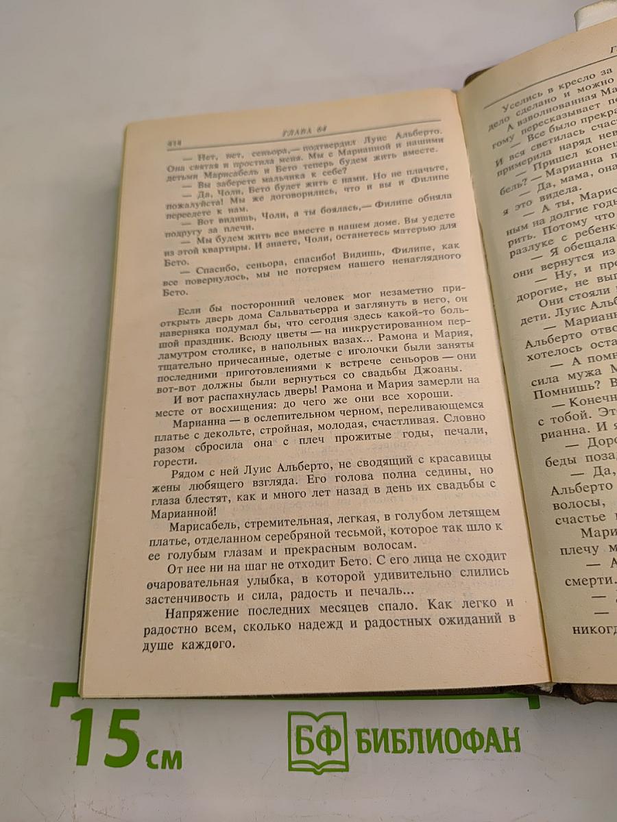 Богатые тоже плачут. Книга 2
