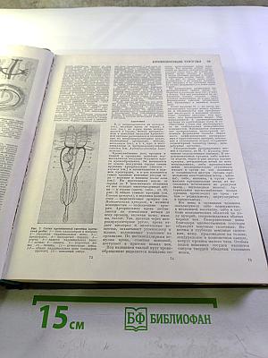 Большая медицинская энциклопедия. Том 12: Криохирургия - Ленегр