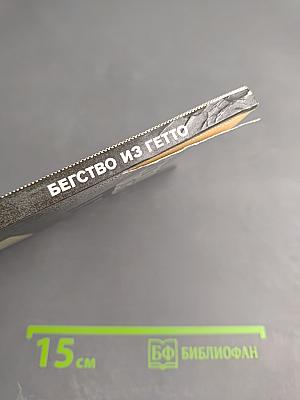 Бегство из гетто