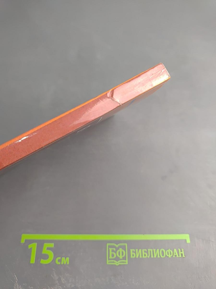 Банковские операции. Часть вторая. Учетно-ссудные операции и агентские услуги банков