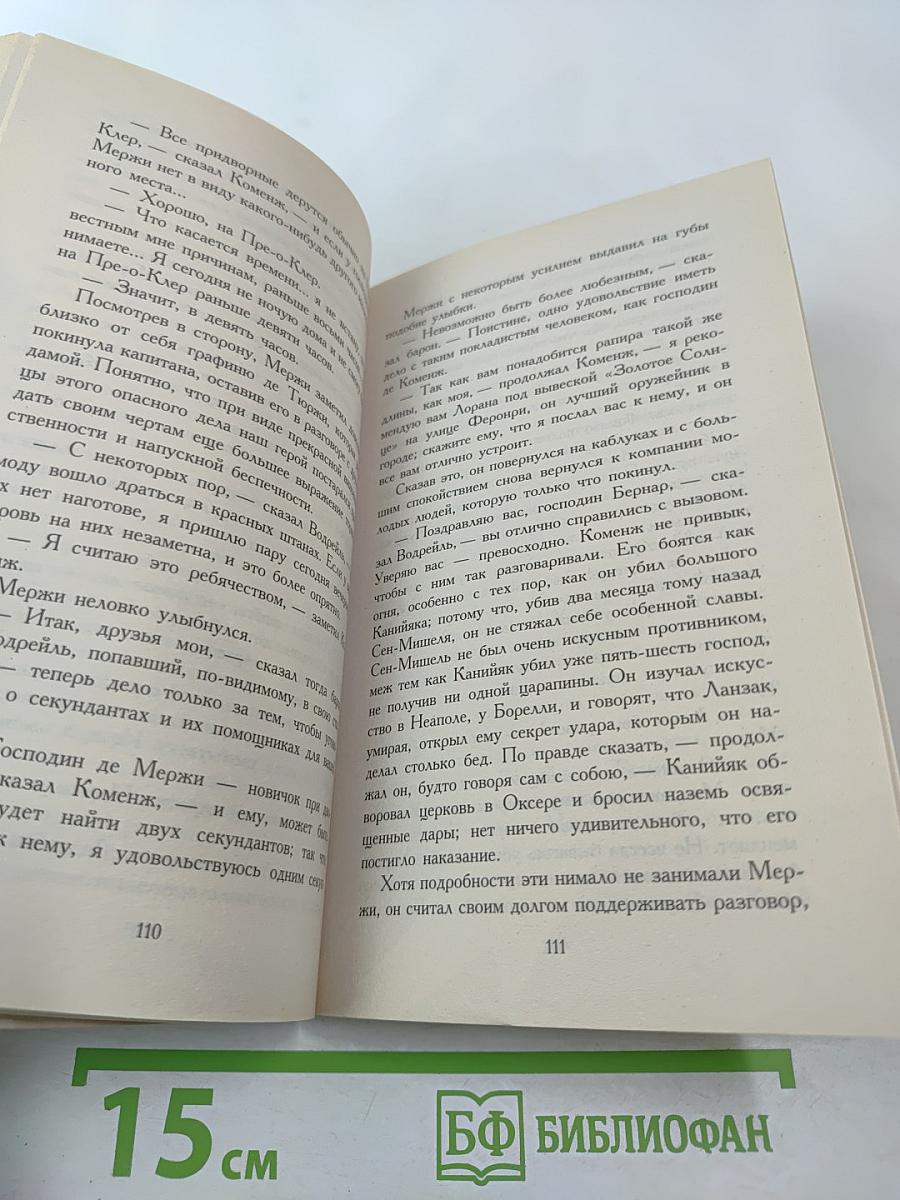 Хроника времен Карла IX