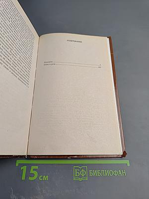 Отцы и дети. Накануне