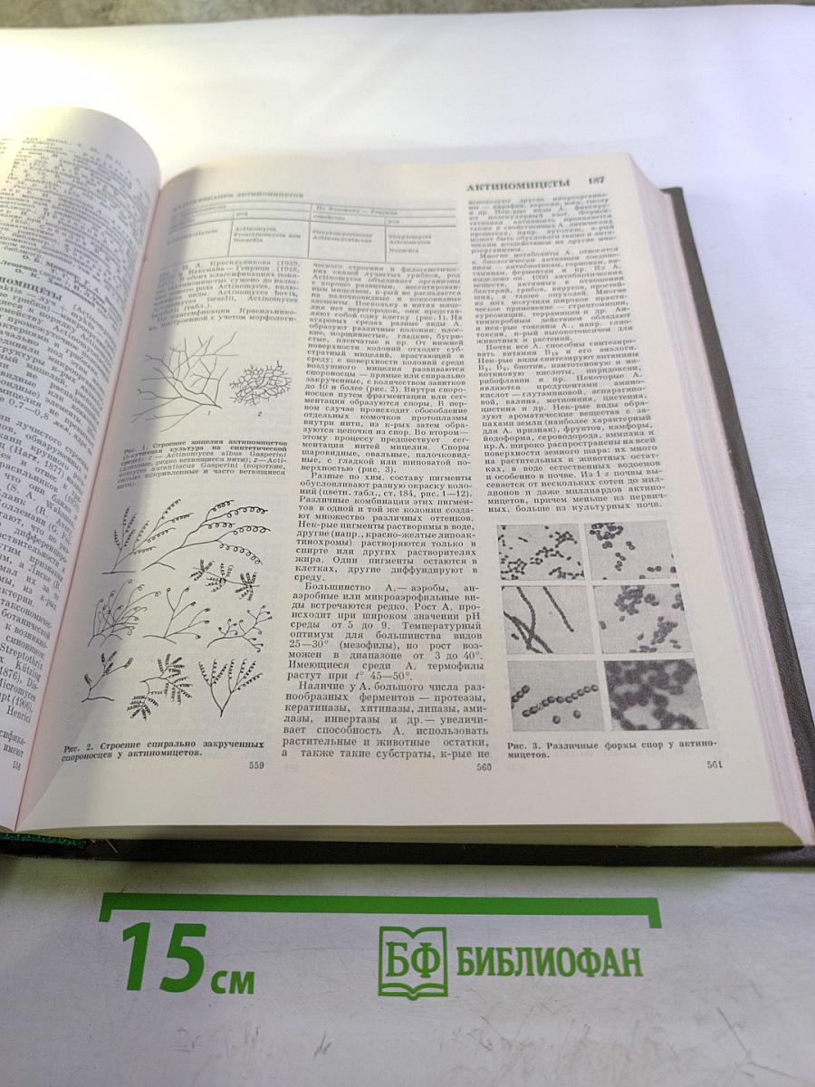 Большая медицинская энциклопедия. Том 1. А - Антибиоз