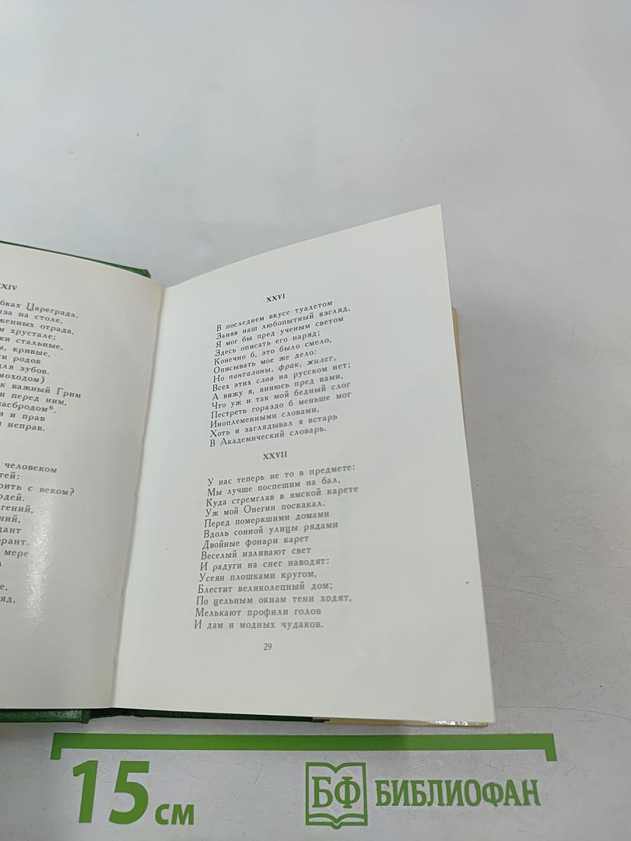 Евгений Онегин