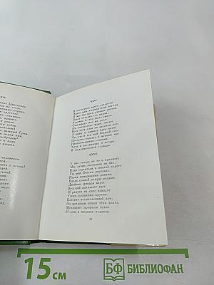 Евгений Онегин