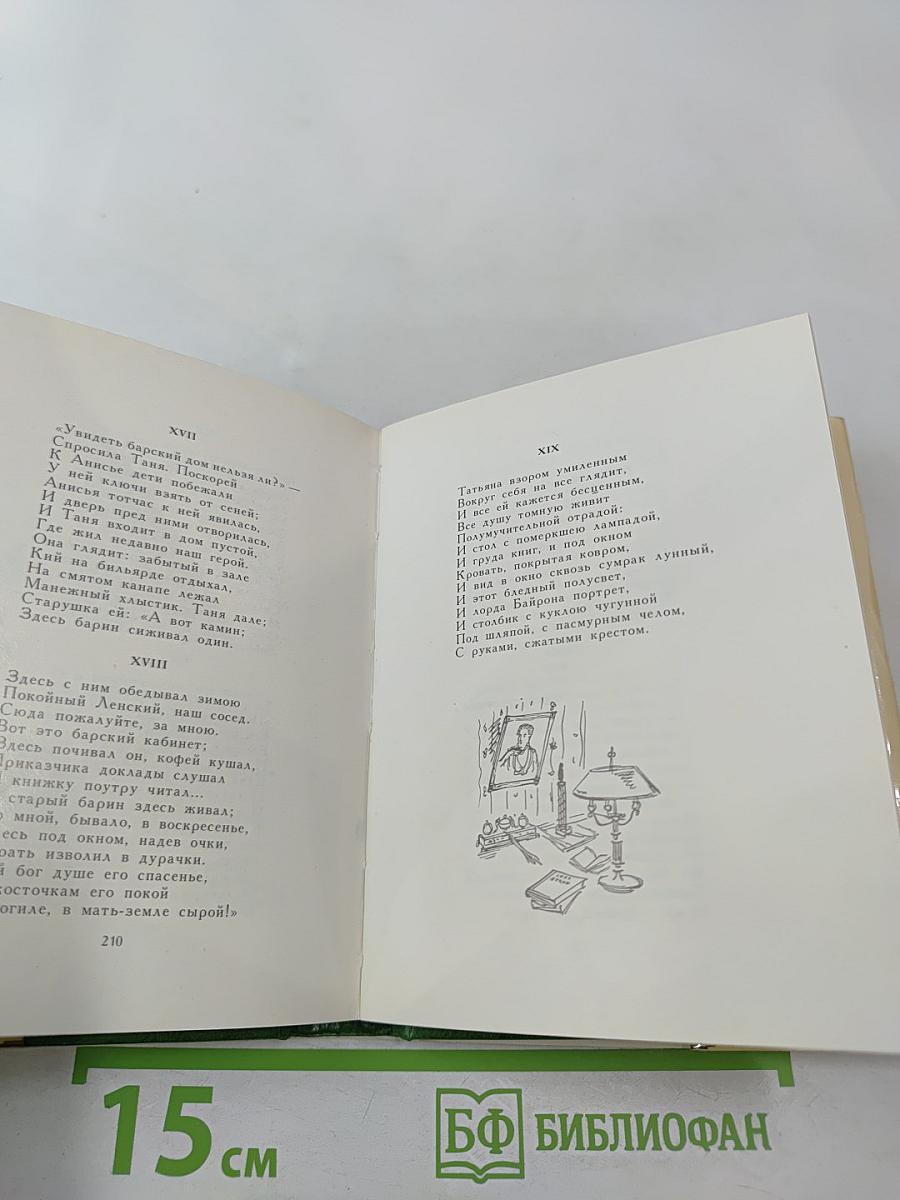 Евгений Онегин