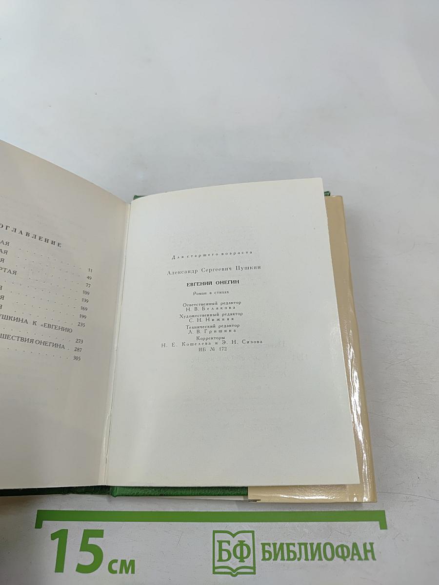 Евгений Онегин