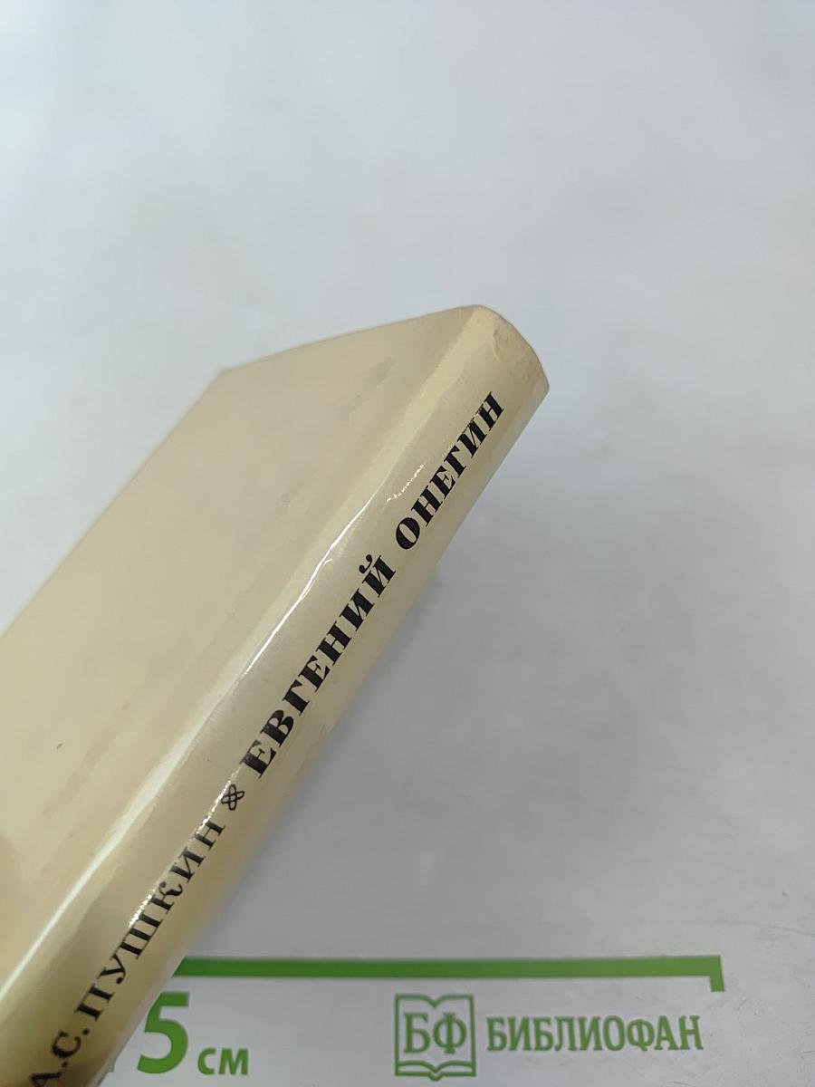 Евгений Онегин