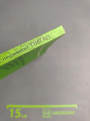 Первый глобальный эксперимент ПИГАП Том 2: Полярный аэрозоль, протяженная облачность и радиация