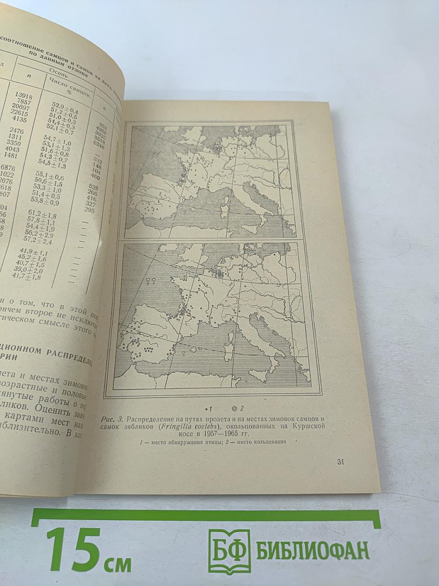 Вопросы экологии и биоценологии. Выпуск 9: Экология птиц и млекопитающих