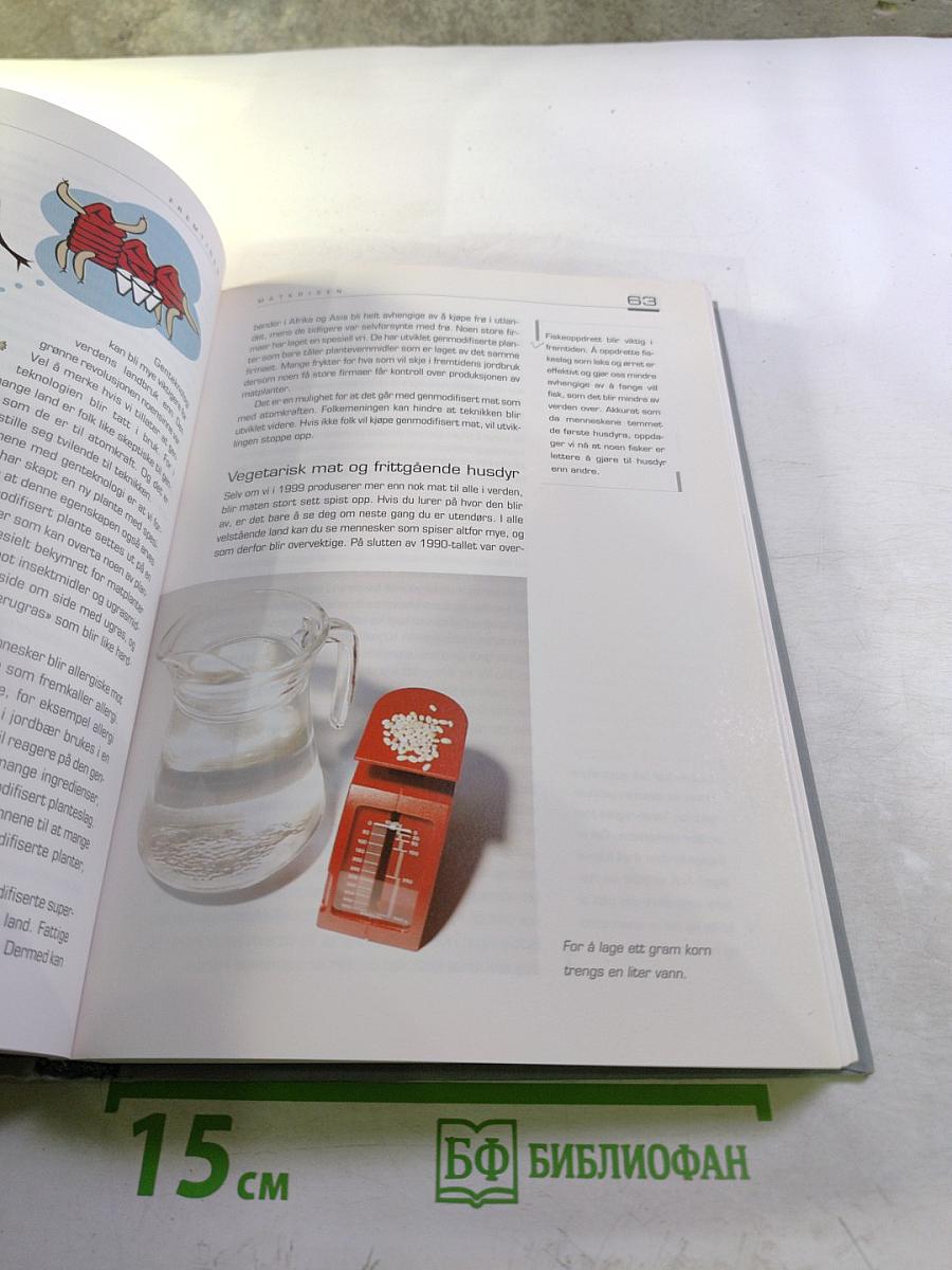 Fremtiden: Hva vil skje etter år 2000?