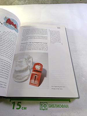 Fremtiden: Hva vil skje etter år 2000?