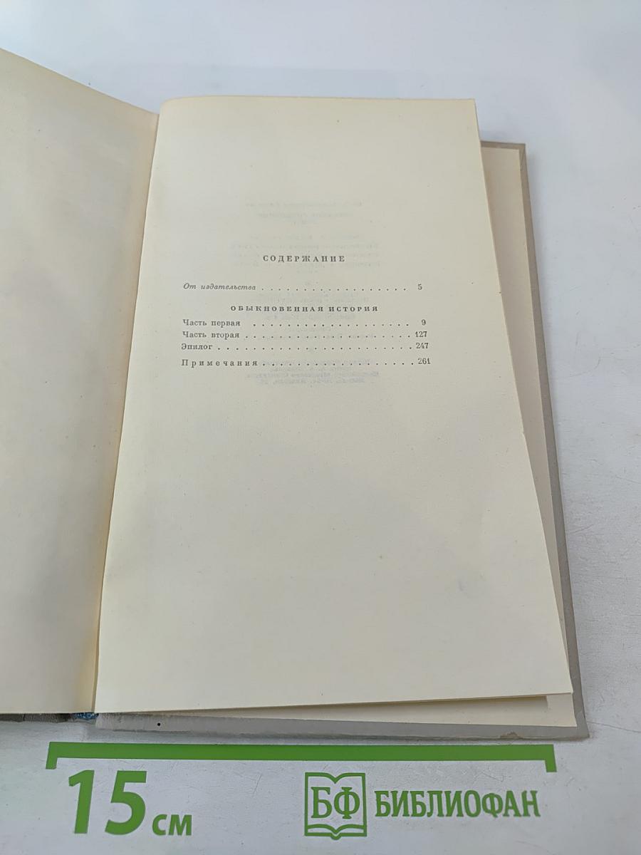 Обыкновенная история