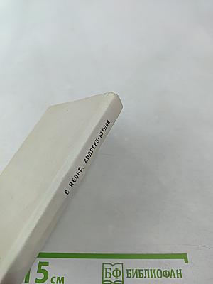 Андреев-Бурлак