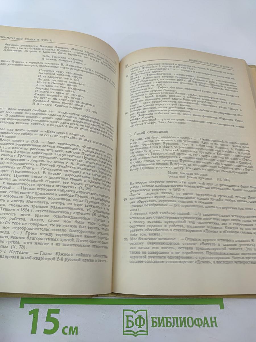 А.С. Пушкин об искусстве. Том II