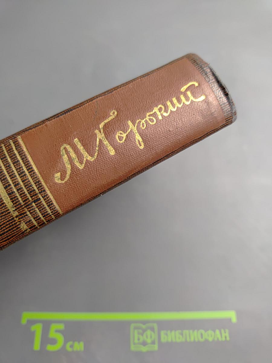 Жизнь Клима Самгина. Том двадцать второй