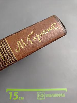 Жизнь Клима Самгина. Том двадцать второй