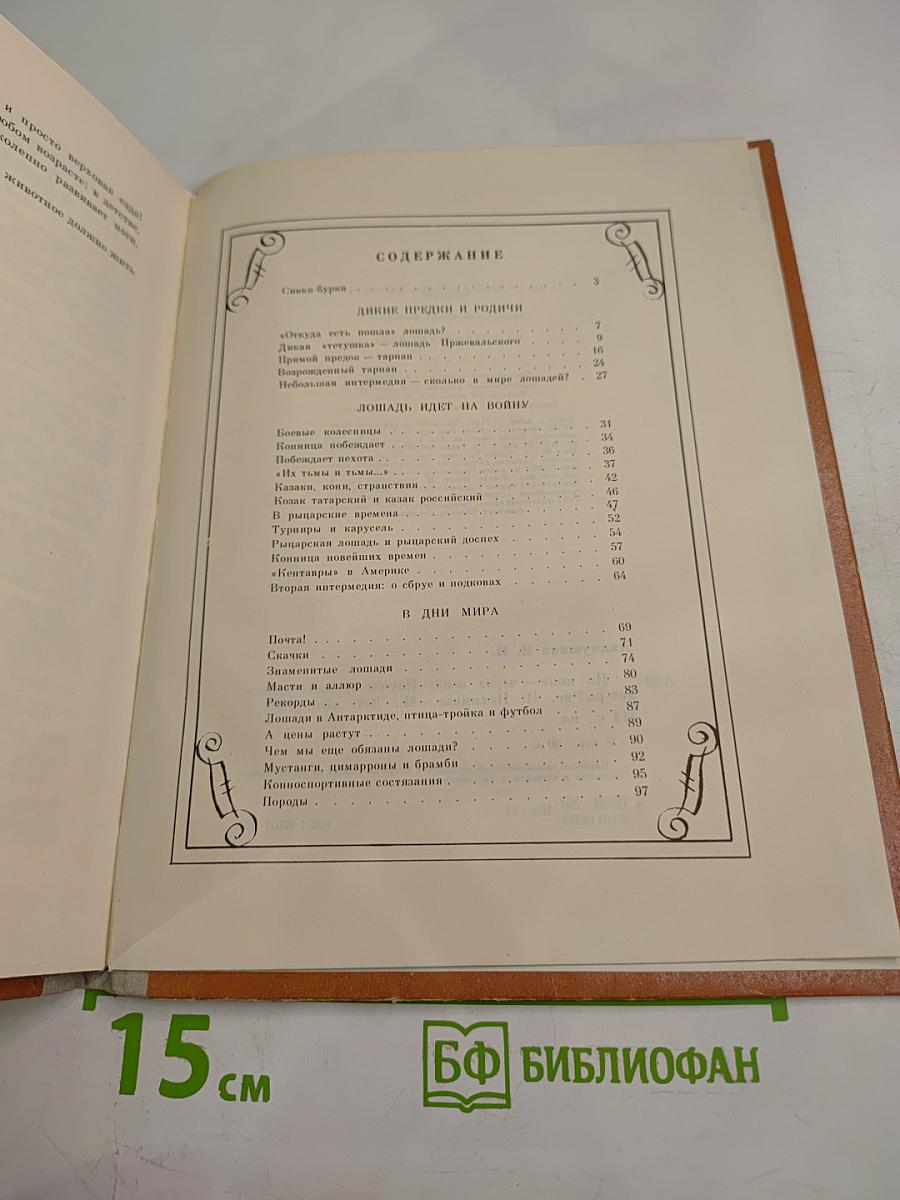 На коне-через века