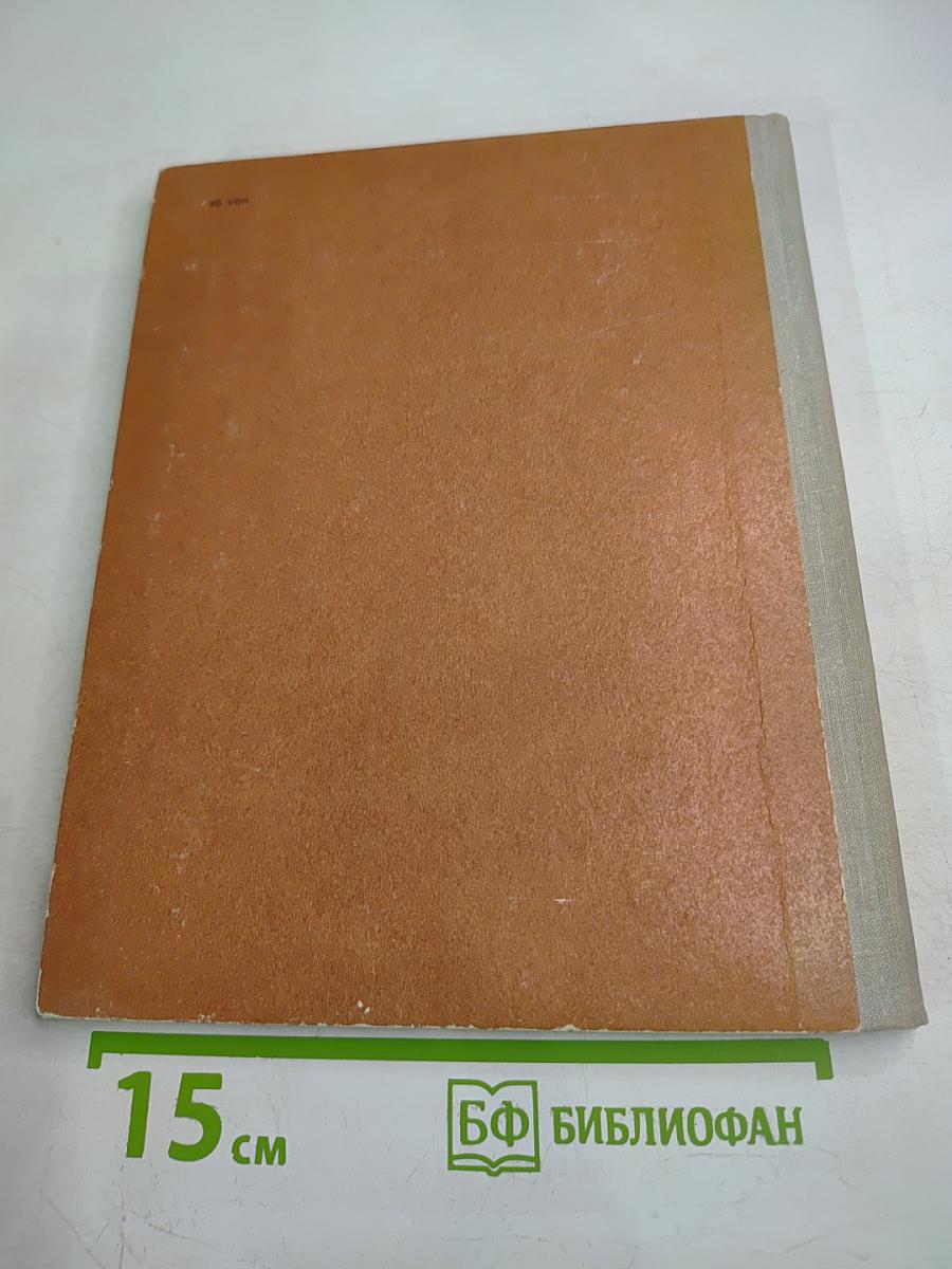 На коне-через века