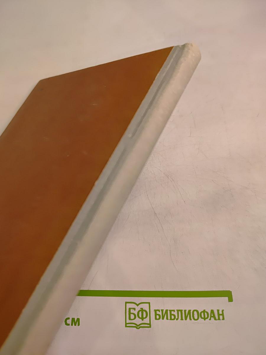 На коне-через века