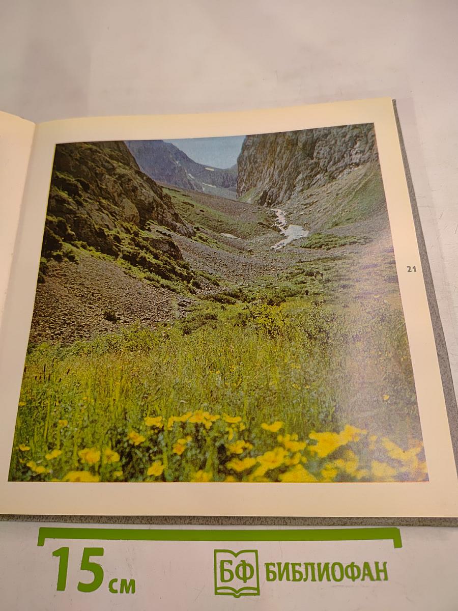 Иле Алатауы Заилийский Алатау