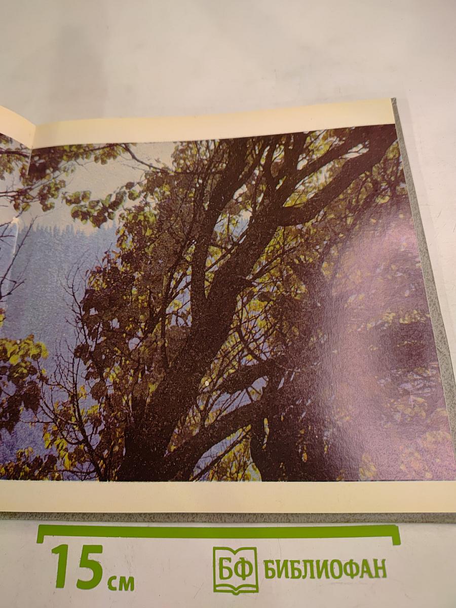 Иле Алатауы Заилийский Алатау